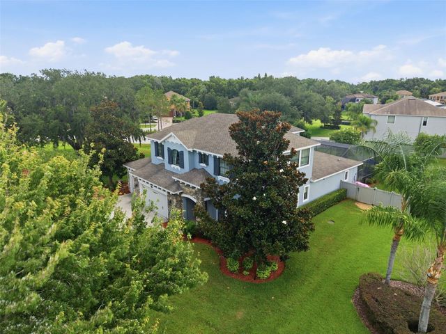 17909 HOWSMOOR PLACE, Lutz, FL 33559
