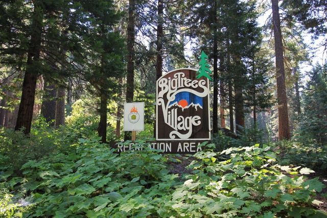 3703 Ottawa Dr, Dorrington, CA 95223