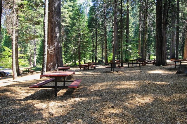 3703 Ottawa Dr, Dorrington, CA 95223