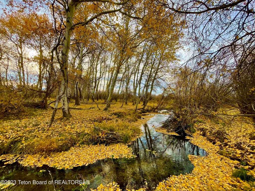 S BATES Road, Driggs, ID 83422 photo 3