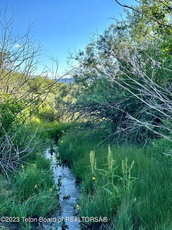 S BATES Road, Driggs, ID 83422 photo 8