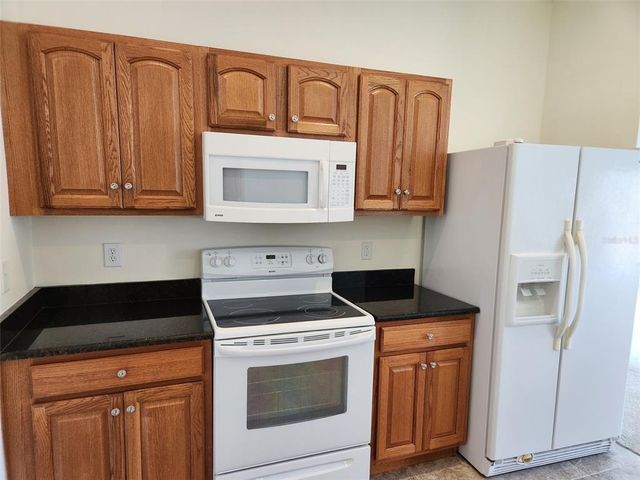 21041 SUNPOINT WAY 202, Lutz, FL 33558
