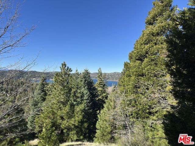 101 Mill Pond Road, Lake Arrowhead, CA 92352