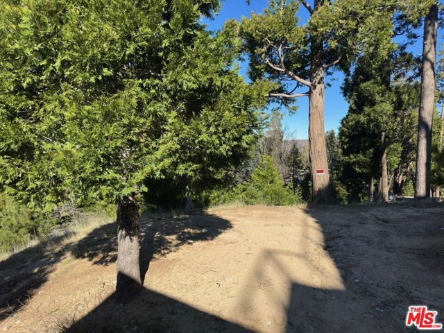 101 Mill Pond Road, Lake Arrowhead, CA 92352