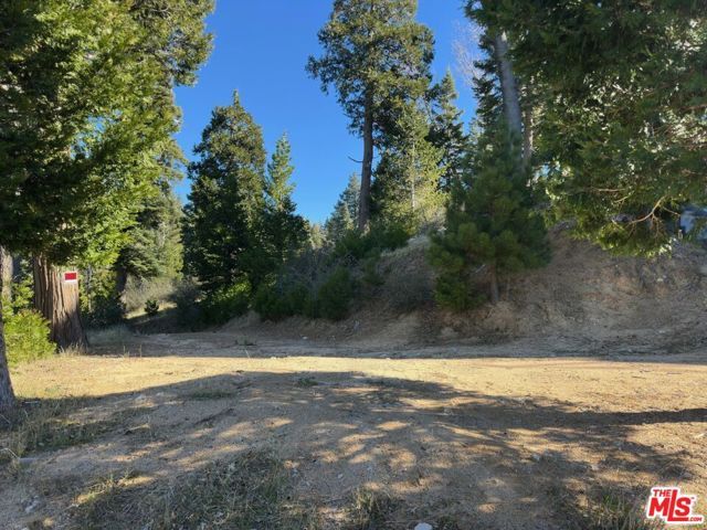 101 Mill Pond Road, Lake Arrowhead, CA 92352