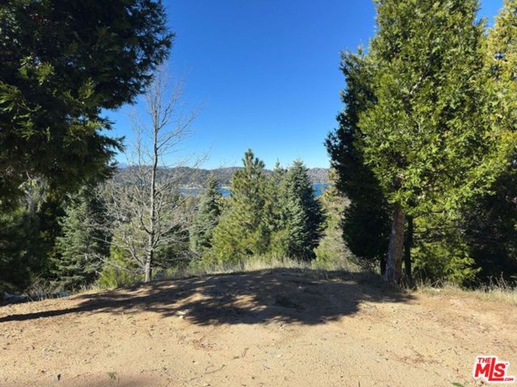 101 Mill Pond Road, Lake Arrowhead, CA 92352