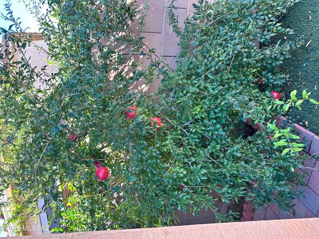 9579 E Corte Del Sol Brillante, Tucson, AZ 85748