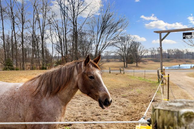 1039 Concord Rd, Gates, TN 38037