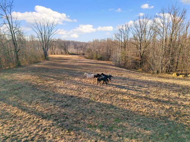 1039 Concord Rd, Gates, TN 38037