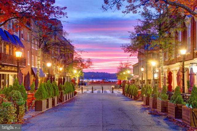 408 N PITT ST, Alexandria, VA 22314