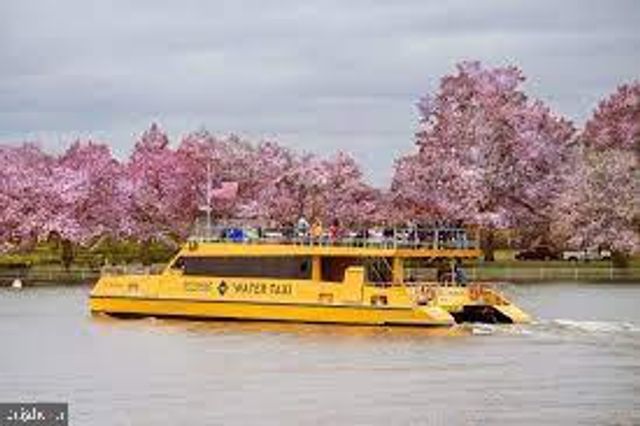 408 N PITT ST, Alexandria, VA 22314