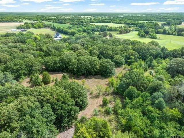 Lot 1 VZ CR 1818, Fruitvale, TX 75127