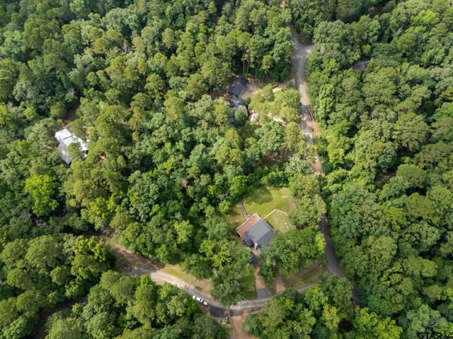 114 Butternut Glen, Holly Lake Ranch, TX 75765