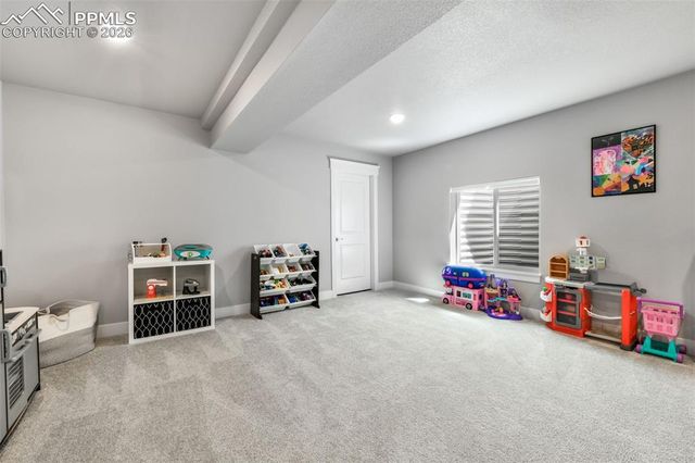 2115 Coyote Mint Drive, Monument, CO 80132