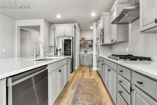 2115 Coyote Mint Drive, Monument, CO 80132