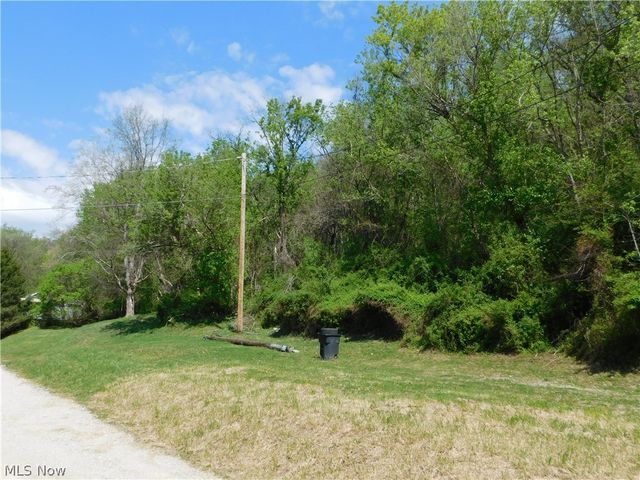 68250 Wrixon Road, Bridgeport, OH 43912