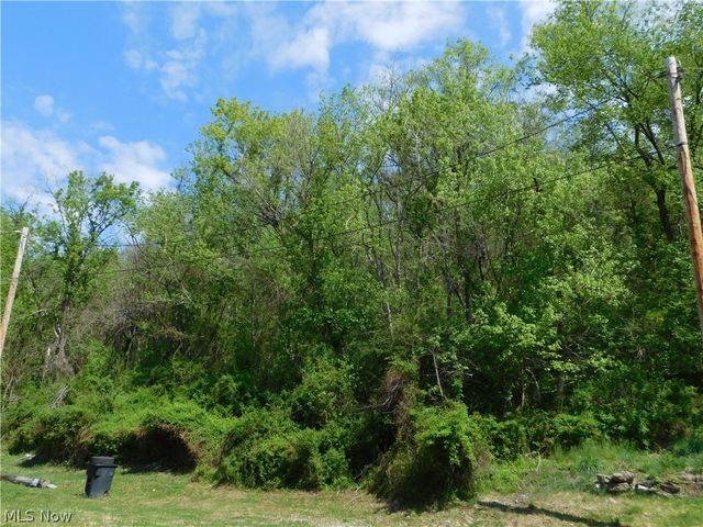 68250 Wrixon Road, Bridgeport, OH 43912