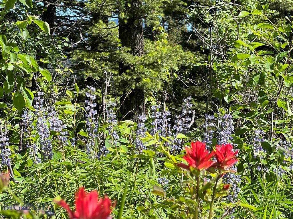 770 Mountain Moose Road, Bozeman, MT 59715 photo 34