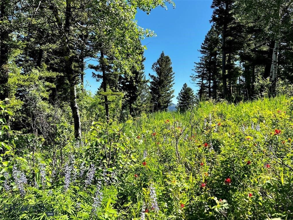 770 Mountain Moose Road, Bozeman, MT 59715 photo 35