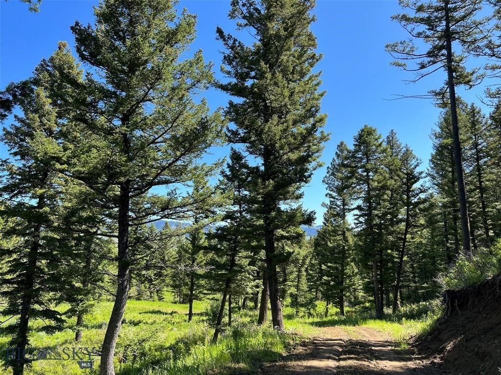 770 Mountain Moose Road, Bozeman, MT 59715 photo 36