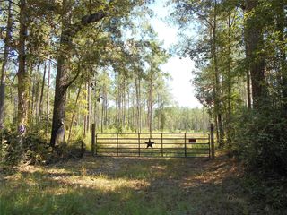 0 Bragg Road, Kountze, TX 77625