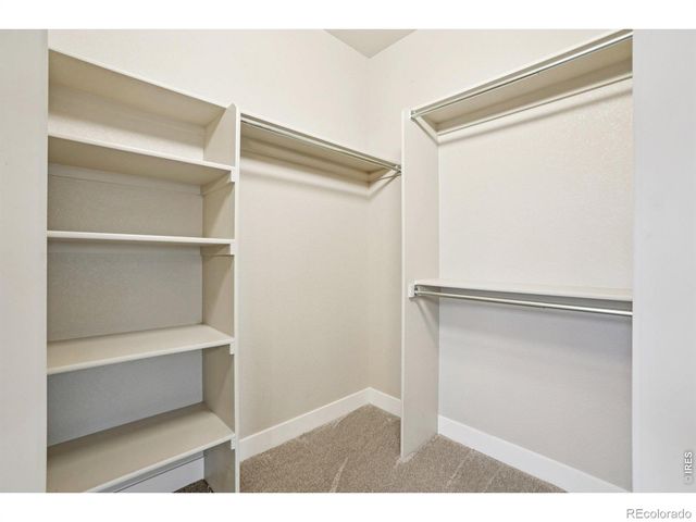 4612 Hahns Peak Drive 308, Loveland, CO 80538