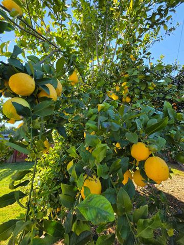 2100 Farnsworth Way, Rancho Cordova, CA 95670