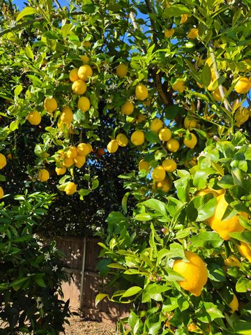 2100 Farnsworth Way, Rancho Cordova, CA 95670