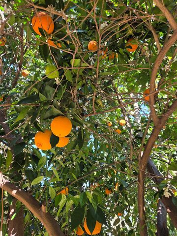 2100 Farnsworth Way, Rancho Cordova, CA 95670