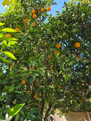 2100 Farnsworth Way, Rancho Cordova, CA 95670