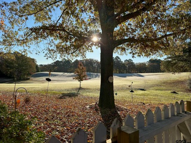 1052 Greenbriar Trl, Holly Lake Ranch, TX 75765