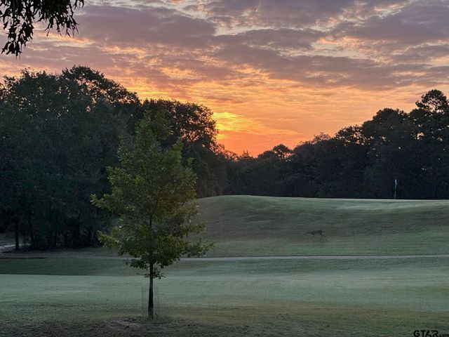 1052 Greenbriar Trl, Holly Lake Ranch, TX 75765