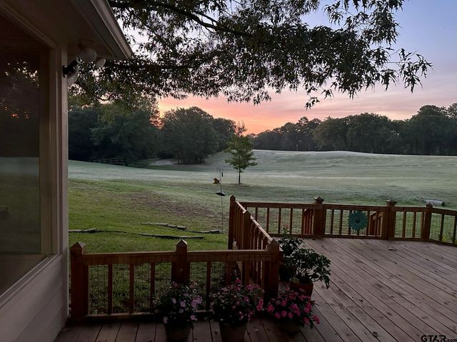 1052 Greenbriar Trl, Holly Lake Ranch, TX 75765