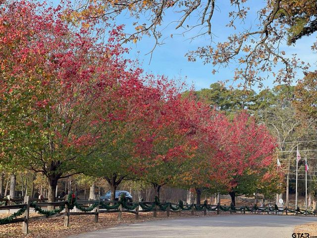 1052 Greenbriar Trl, Holly Lake Ranch, TX 75765