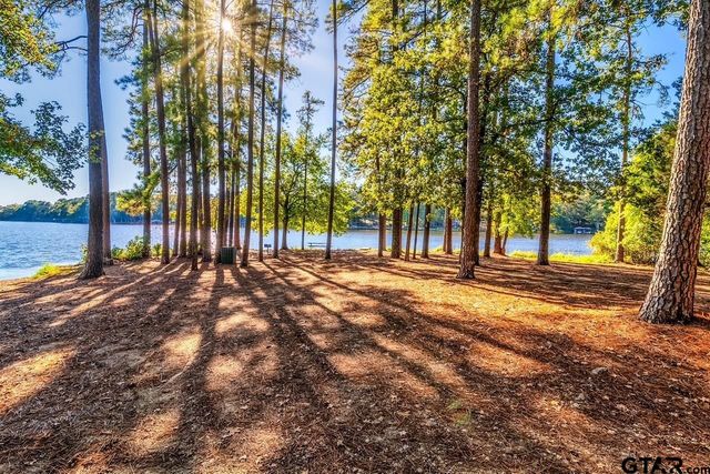 1052 Greenbriar Trl, Holly Lake Ranch, TX 75765