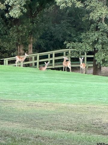 1052 Greenbriar Trl, Holly Lake Ranch, TX 75765