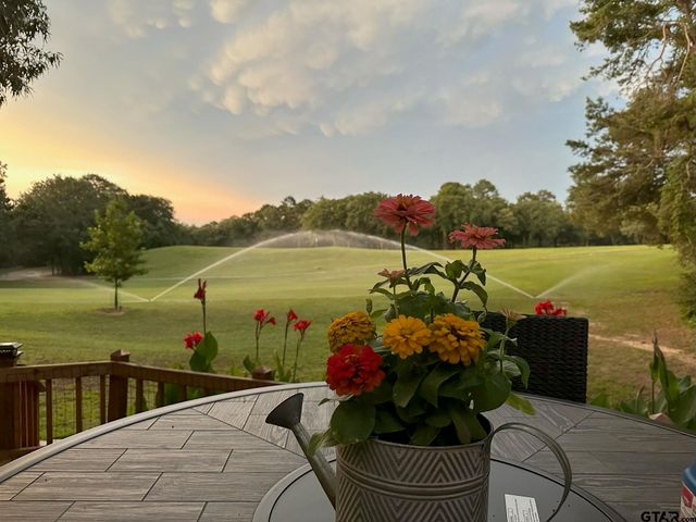 1052 Greenbriar Trl, Holly Lake Ranch, TX 75765