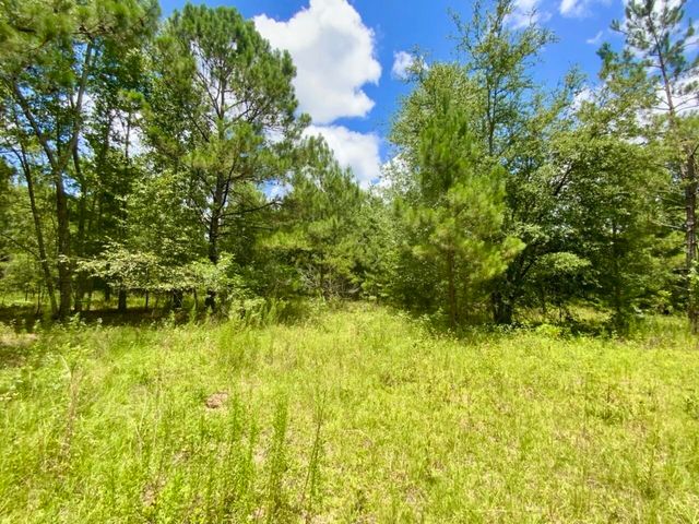0000 NE Dandelion Street, Madison, FL 32340