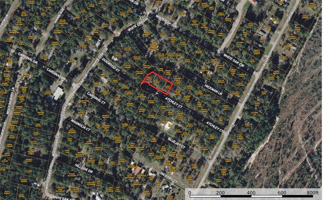 TBD Atchley Lane, Trinity, TX 75862