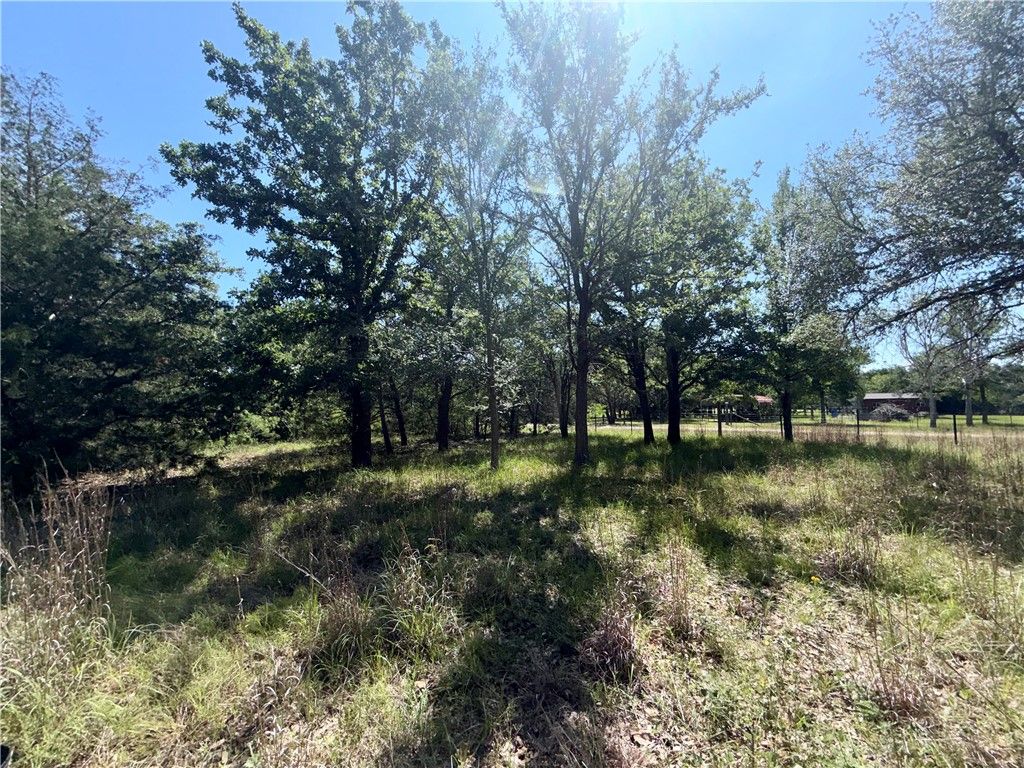 545 Cranberry Road, Somerville, TX 77879 — photo 4