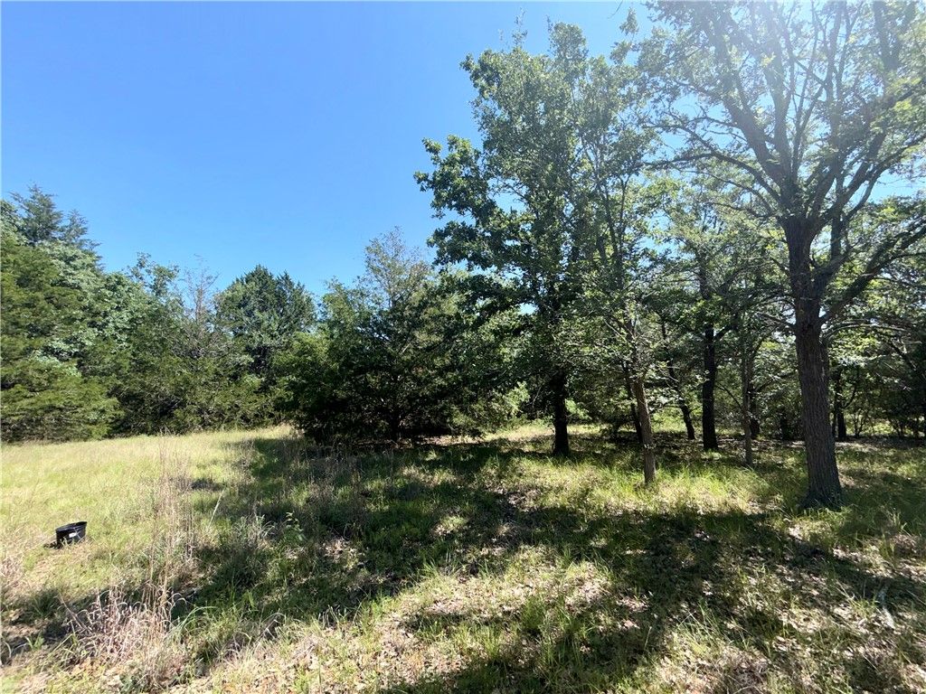 545 Cranberry Road, Somerville, TX 77879 — photo 5