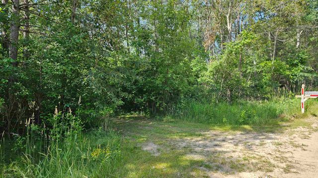 1225 W Sun Oil Road, Gladwin, MI 48624