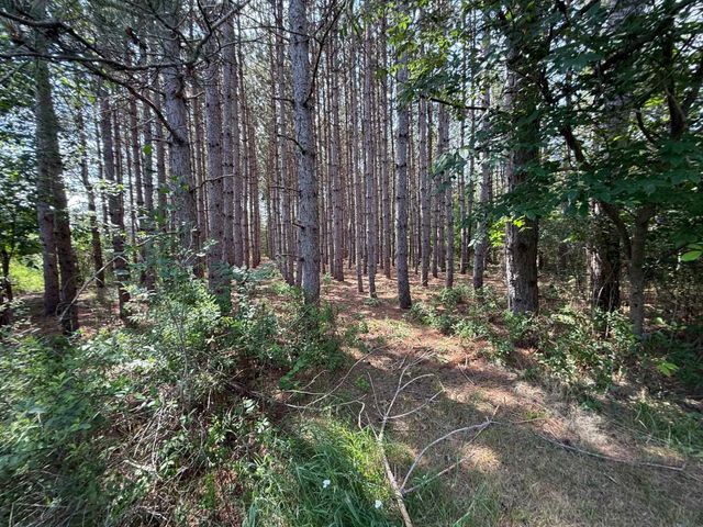 1225 W Sun Oil Road, Gladwin, MI 48624