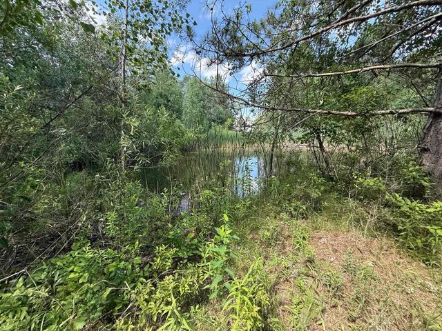 1225 W Sun Oil Road, Gladwin, MI 48624