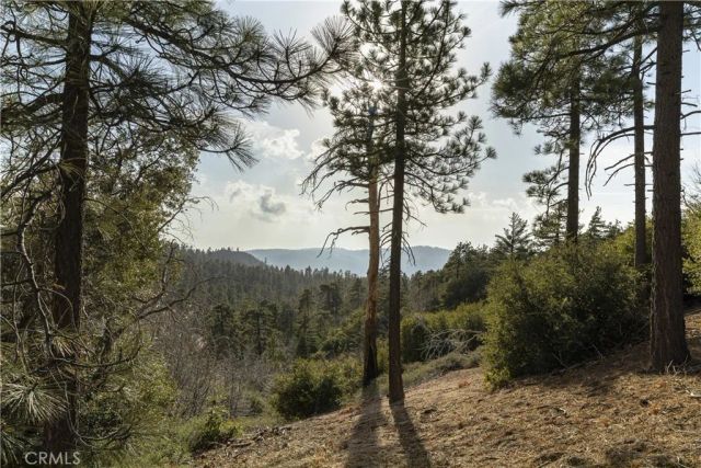 32945 Juniper Lane, Green Valley Lake, CA 92341