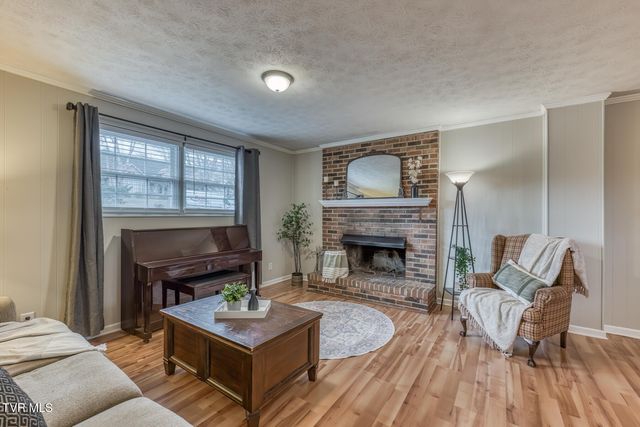 110 Hazelwood Drive, Gray, TN 37615