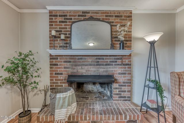 110 Hazelwood Drive, Gray, TN 37615