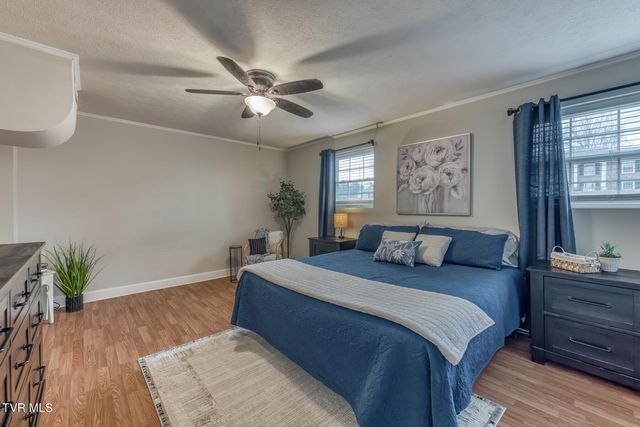 110 Hazelwood Drive, Gray, TN 37615