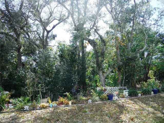 124 JUNIPERUS DRIVE 45, Safety Harbor, FL 34695