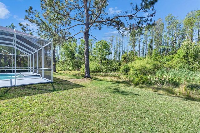 21744 WAVERLY SHORES LANE, Land O Lakes, FL 34637